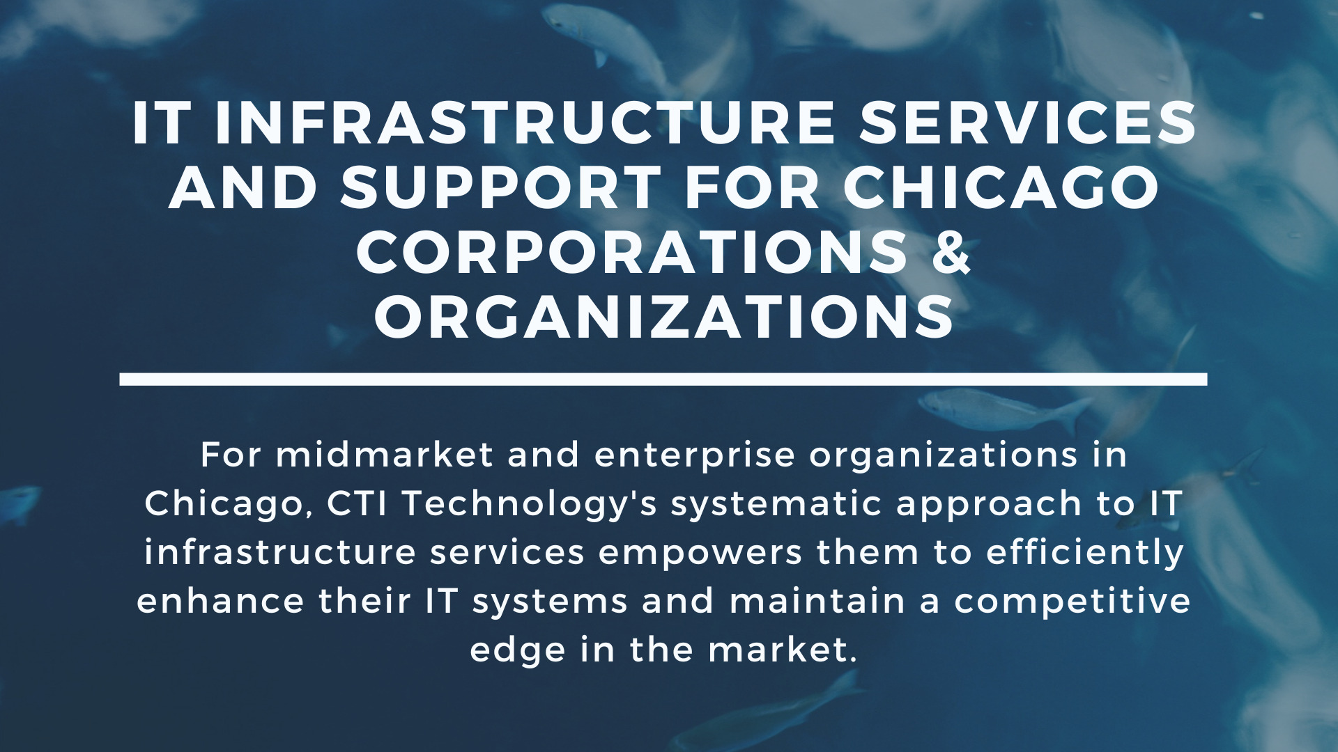 IT Infrastructure Services and Support Chicago Corporations & Organizations